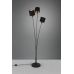 Tor&scaron;eras Tommy Floor 3-pc. E14 Black/Gold R46333979 TRIO Lighting