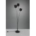 Tor&scaron;eras Tommy Floor 3-pc. E14 Black/Gold R46333979 TRIO Lighting