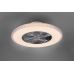 Lubinis &scaron;viestuvas Harstad Ceiling Fan Transparent R62412106 TRIO Lighting