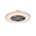 Lubinis &scaron;viestuvas Harstad Ceiling Fan Transparent R62412106 TRIO Lighting