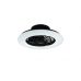 Lubinis &scaron;viestuvas Stralsund LED Ceiling Fan Matt Black Starlight R62522132 TRIO Lighting