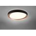Lubinis šviestuvas Zeta R62712402 Lubinis šviestuvas Zeta R62712402 TRIO Lighting