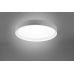 Lubinis &scaron;viestuvas Zeta R62712411 TRIO Lighting