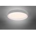 Lubinis &scaron;viestuvas Zeta R62712411 TRIO Lighting