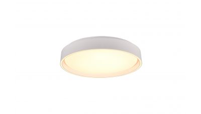 Lubinis &scaron;viestuvas Felis LED Ceiling White R64391031 TRIO Lighting