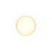 Lubinis &scaron;viestuvas Felis LED Ceiling White R64391031 TRIO Lighting