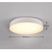 Lubinis &scaron;viestuvas Felis LED Ceiling White R64391031 TRIO Lighting