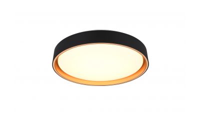 Lubinis &scaron;viestuvas Felis LED Ceiling Black-Gold R64391080 TRIO Lighting