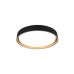 Lubinis &scaron;viestuvas Felis LED Ceiling Black-Gold R64391080 TRIO Lighting