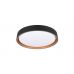 Lubinis &scaron;viestuvas Felis LED Ceiling Black-Gold R64391080 TRIO Lighting