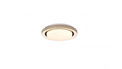 Lubinis &scaron;viestuvas Atria LED Ceiling Lamp 27 cm Matt Black R67042832 TRIO Lighting