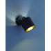 Sieninis &scaron;viestuvas Tommy R80331079 TRIO Lighting