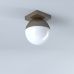 Lubinis &scaron;viestuvas Violla Ceiling 1 20cm 4212500 Viokef