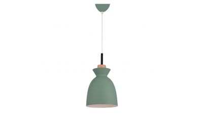 Pakabinamas šviestuvas Pendant Light 180065 180065 Pakabinamas šviestuvas Pendant Light 180065 180065 Zambelis Lights