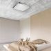 Lubinis šviestuvas Sierra Ceiling 12100005-SL Zuma Line